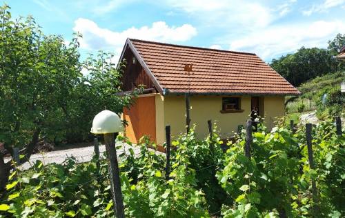 House in Gyenesdias 023