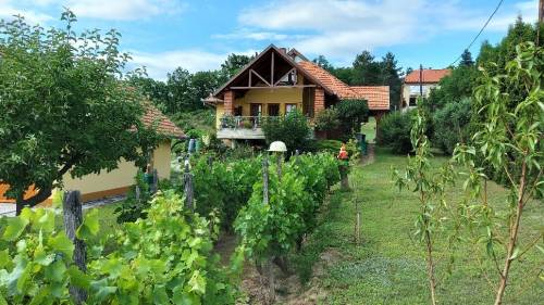 House in Gyenesdias 025