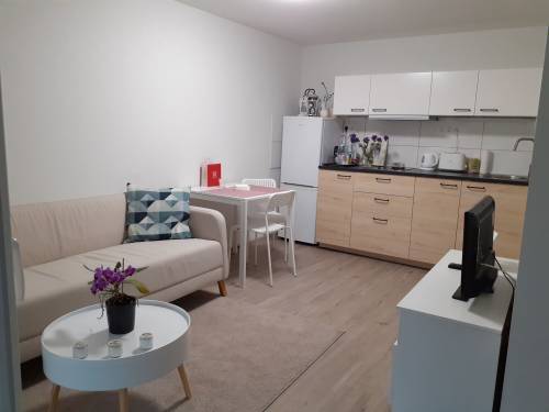 Practical house for sale 007