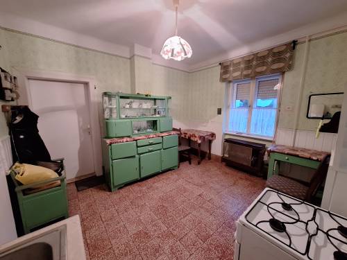 For sale family house 007