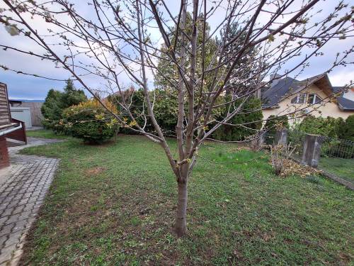 Bútorozott, azonnal költözhető 32 m²-es lakás Hévízen 015