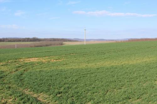 For sale plot 004