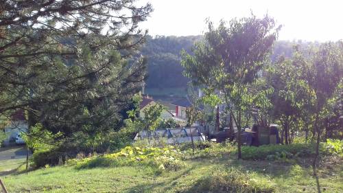 For sale plot 001