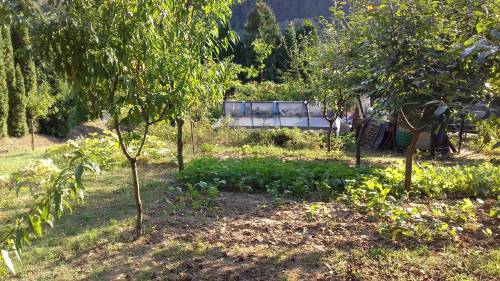 For sale plot 002