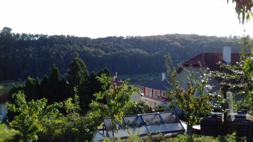 For sale plot 003