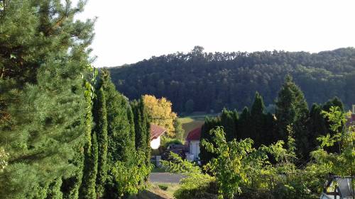 For sale plot 004