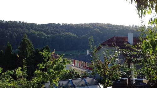 For sale plot 005